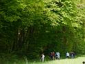 DAV Maiwanderung 2014 (35)